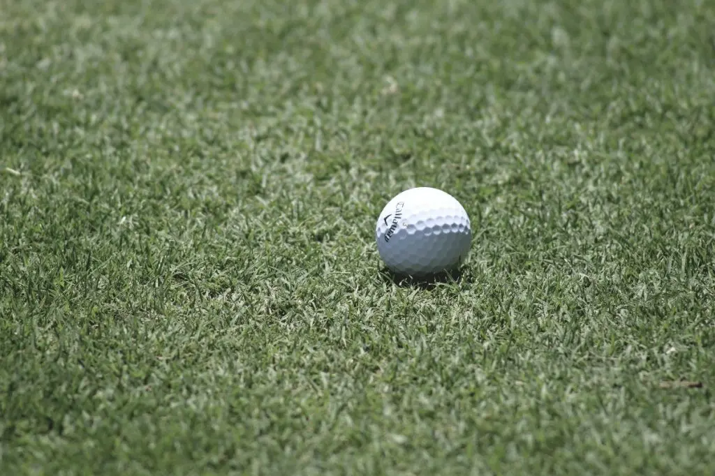 the Callaway Superhot 55 Golf Ball in the ground on the putting green