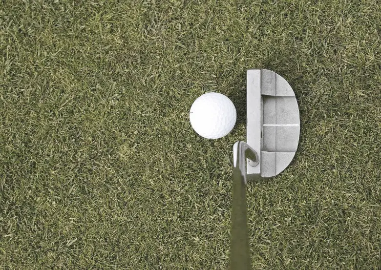 A golf putter and a ball in the ground on the putting green