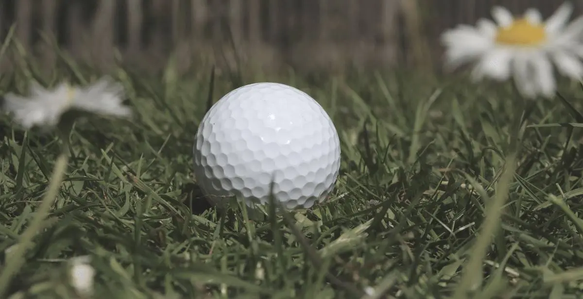 the perfect Tp5 Vs Tp5x Golf Balls Review